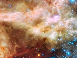 Трирічне дослідження молодих зірок за допомогою «Хаббла» НАСА вступає у нову фазу